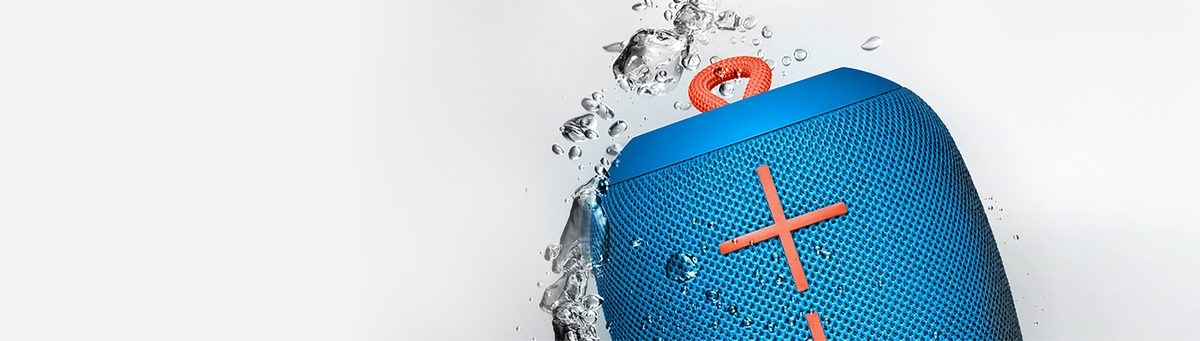 Wonderboom 2 Wonderboom 2